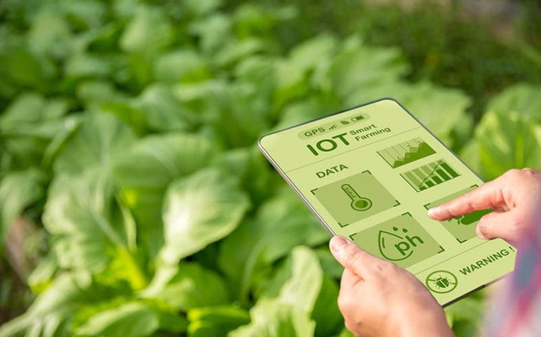 Internet of Things (IoT)